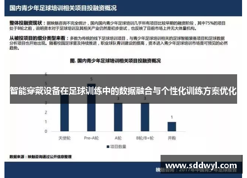 智能穿戴设备在足球训练中的数据融合与个性化训练方案优化