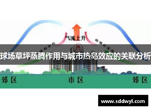 球场草坪蒸腾作用与城市热岛效应的关联分析