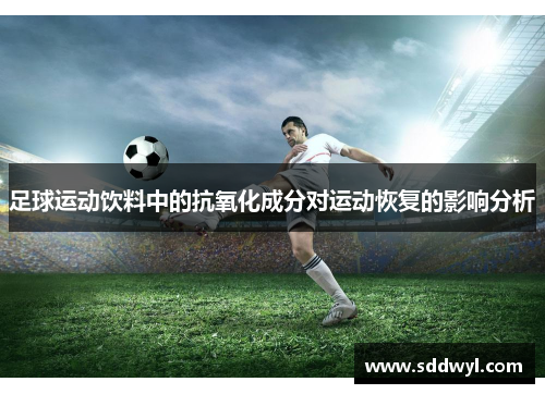 足球运动饮料中的抗氧化成分对运动恢复的影响分析